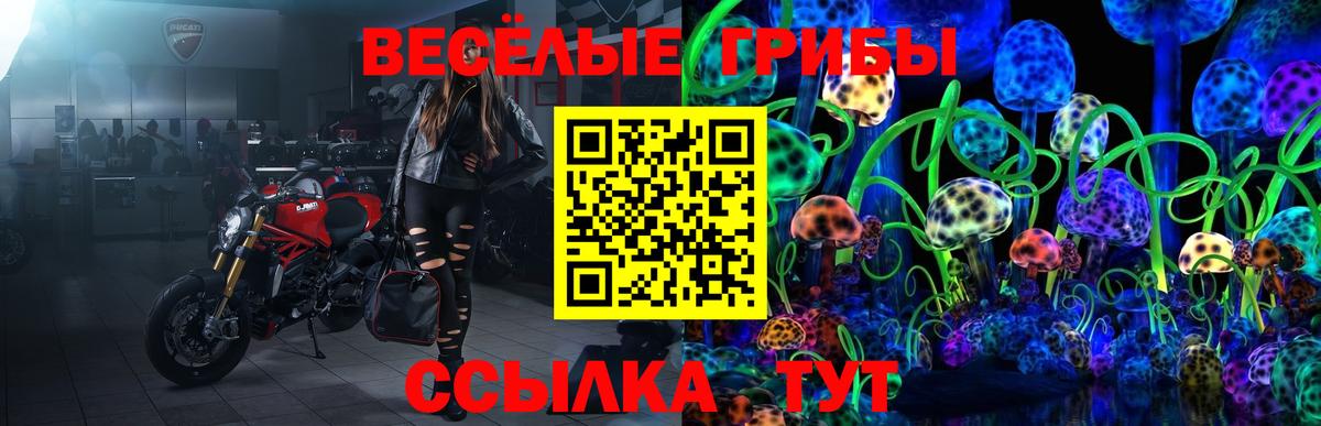 купить  сайты  Галлюциногенные грибы Psilocybine cubensis  Галлюциногенные грибы Cubensis  Вход с VPN  Дербент 